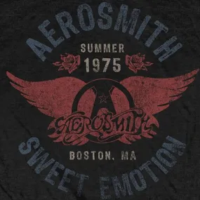 Aerosmith Sweet Emotion Shirt